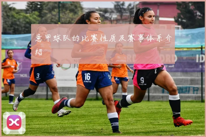 意甲球队的比赛性质及赛事体系介绍