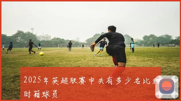 2025年英超联赛中共有多少名比利时籍球员