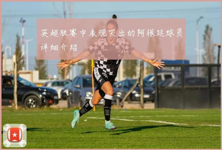 英超联赛中表现突出的阿根廷球员详细介绍