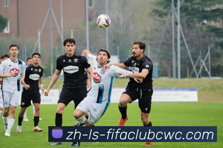 世界杯平台平台生态图